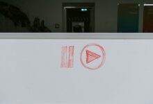 Photo of В обновлении Adobe Premier появились функции на основе ИИ