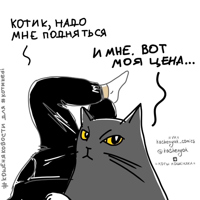Кот-бизнесмен 
