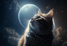 Photo of 15 нейросетей, которые рисуют круче, чем ваш дизайнер
