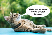 Photo of Авито и Сбер объединили усилия для поддержки креативных предпринимателей — 02.04.26 12:55